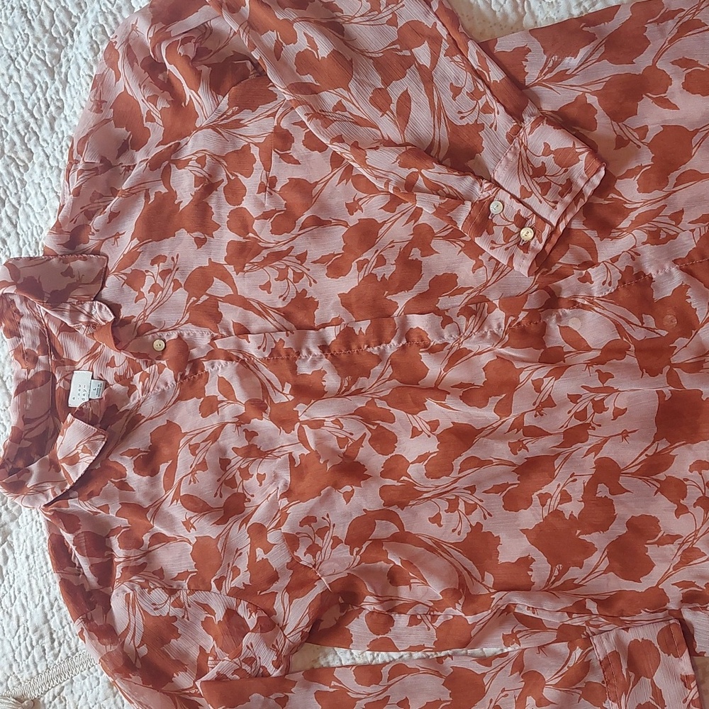 a .new day sheer top blouse